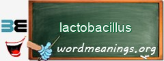 WordMeaning blackboard for lactobacillus